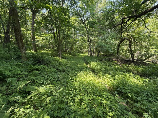 tbd County 13 Road, Houston, MN 55943 - photo 42
