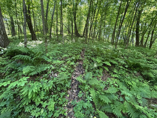 tbd County 13 Road, Houston, MN 55943 - photo 43