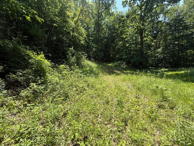 tbd County 13 Road, Houston, MN 55943 - photo 44