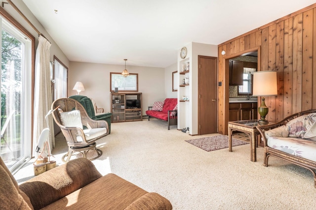 36310 Augustana Dr, Amor Twp, MN 56515 - photo 18