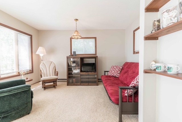 36310 Augustana Dr, Amor Twp, MN 56515 - photo 19
