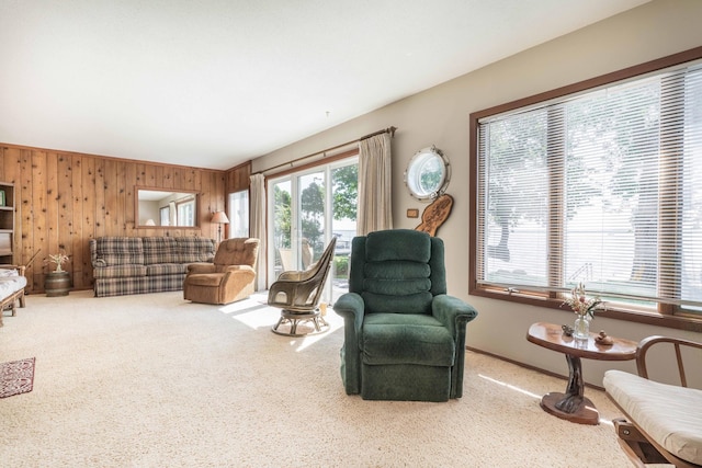 36310 Augustana Dr, Amor Twp, MN 56515 - photo 21