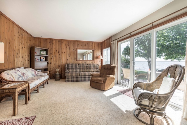 36310 Augustana Dr, Amor Twp, MN 56515 - photo 24