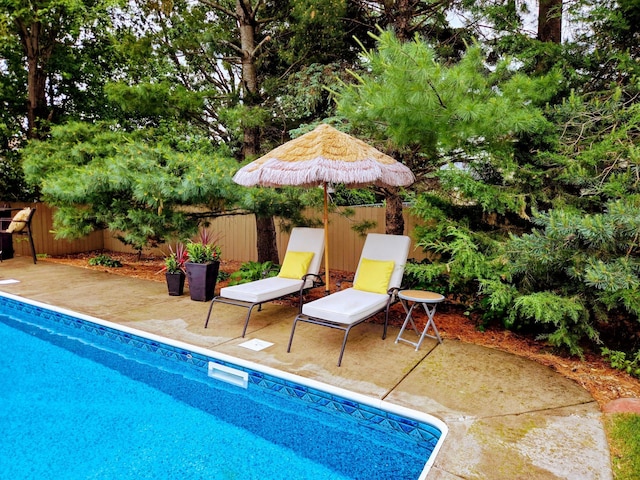4078 153rd St W, Rosemount, MN 55068 - view of pool featuring a patio area