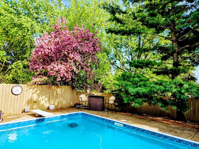 4078 153rd St W, Rosemount, MN 55068 - view of pool featuring a fenced backyard and a diving board