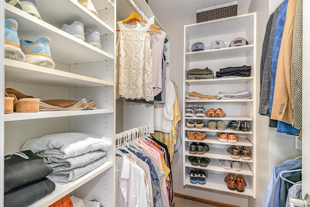 4078 153rd St W, Rosemount, MN 55068 - view of walk in closet
