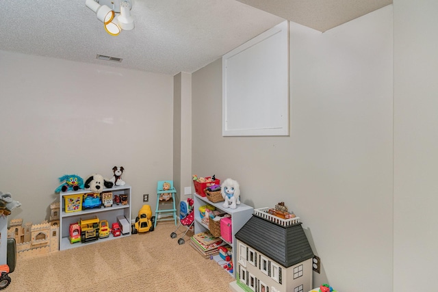 4078 153rd St W, Rosemount, MN 55068 - recreation room featuring carpet and a textured ceiling
