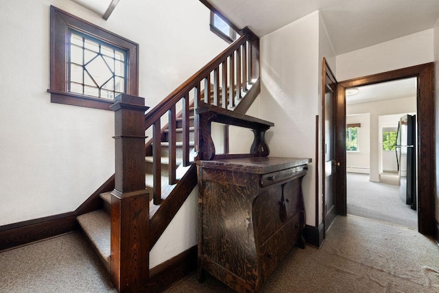 115 Spruce St W, Grey Eagle, MN 56336 - stairs with carpet flooring and baseboards