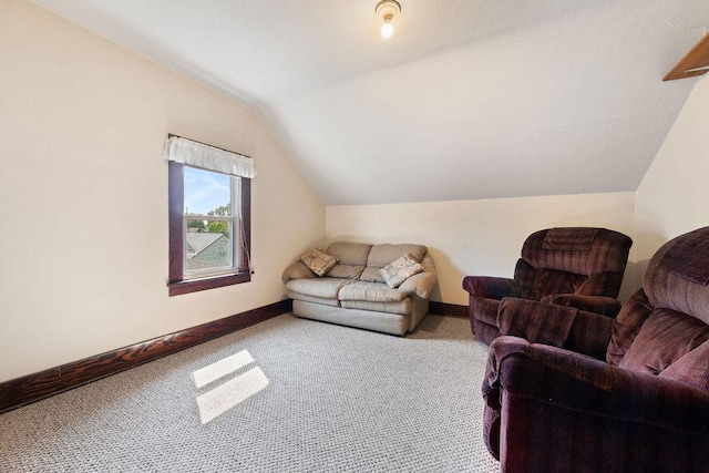 115 Spruce St W, Grey Eagle, MN 56336 - living room with lofted ceiling and carpet flooring