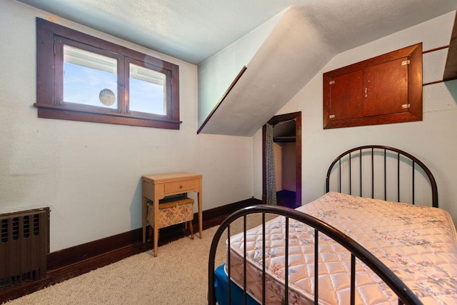 115 Spruce St W, Grey Eagle, MN 56336 - bedroom with radiator, vaulted ceiling, and light colored carpet