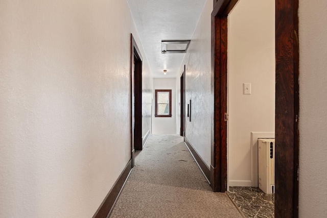 115 Spruce St W, Grey Eagle, MN 56336 - corridor featuring baseboards and carpet flooring