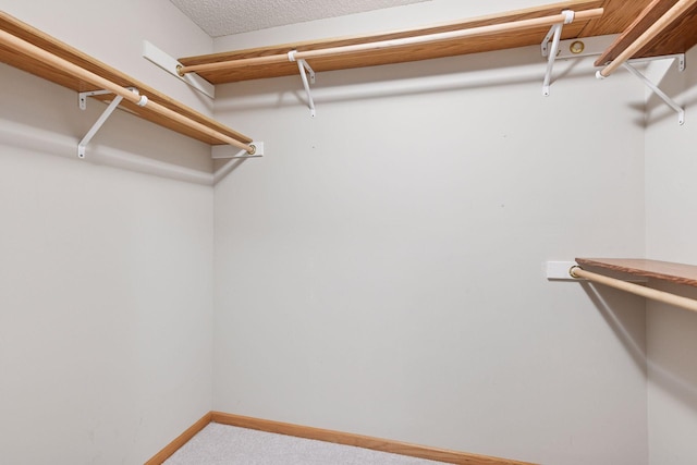 1040 Primrose Ln, Waconia, MN 55387 - walk in closet featuring carpet floors