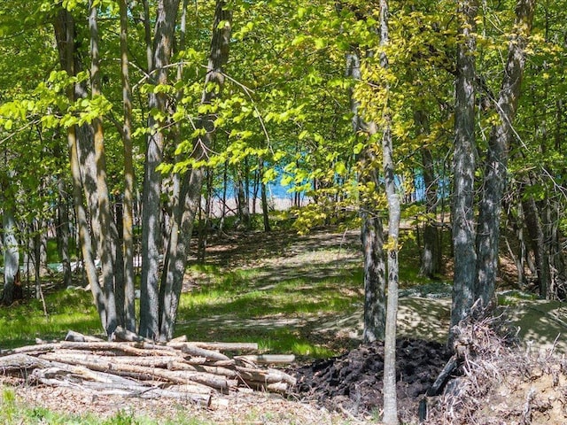 TBD Great Sunset Rd, Cohasset, MN 55721