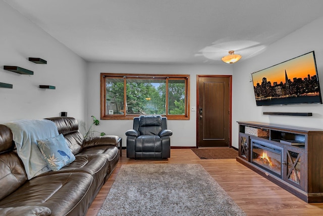 12940 8th Ave N, Zimmerman, MN 55398 - living area featuring wood finished floors and a glass covered fireplace