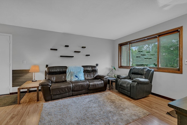 12940 8th Ave N, Zimmerman, MN 55398 - living area with wood finished floors and baseboards
