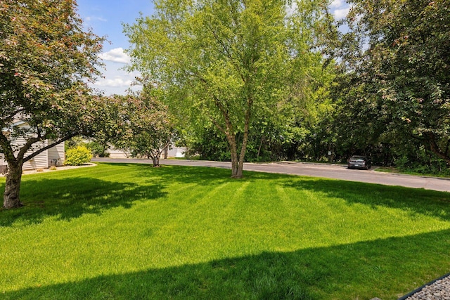5425 Fawn Ct SE, Prior Lake, MN 55372 - view of green lawn