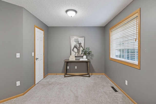 5425 Fawn Ct SE, Prior Lake, MN 55372 - office area with a textured ceiling and carpet