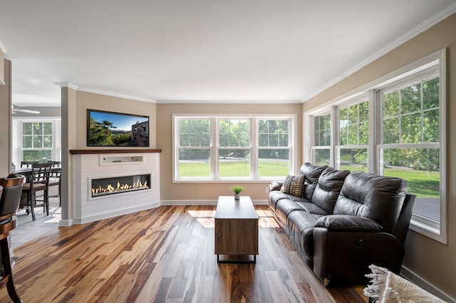 13912 80th St NE, Otsego, MN 55330 - living room featuring crown molding, wood finished floors, a glass covered fireplace, baseboards, and ceiling fan
