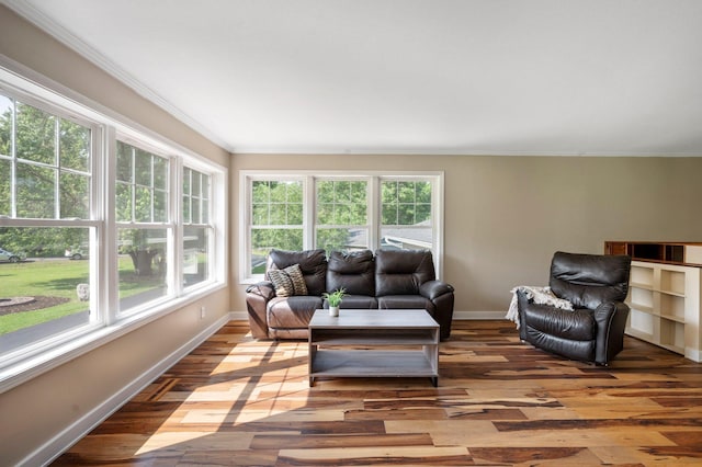 13912 80th St NE, Otsego, MN 55330 - living area with crown molding, healthy amount of natural light, wood finished floors, and baseboards