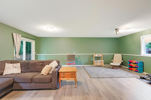1310 Widgeon Way, Buffalo, MN 55313 - living area with wood finished floors and a textured ceiling