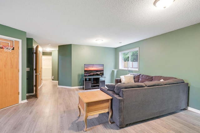 1310 Widgeon Way, Buffalo, MN 55313 - living room featuring light wood-style floors and a textured ceiling