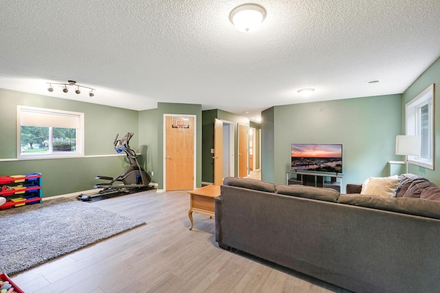 1310 Widgeon Way, Buffalo, MN 55313 - living area featuring light wood finished floors, a textured ceiling, and healthy amount of natural light