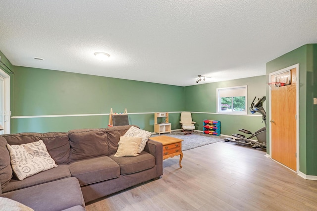 1310 Widgeon Way, Buffalo, MN 55313 - living area featuring wood finished floors and a textured ceiling