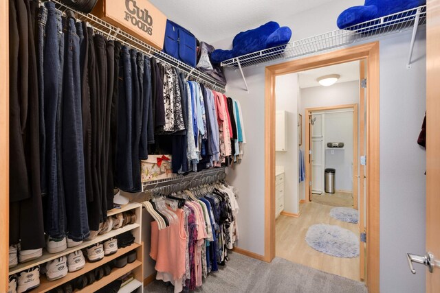 4100 Spring St Unit 310, Spring Park, MN 55384 - view of walk in closet