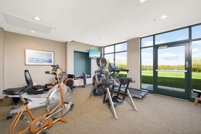 4100 Spring St Unit 310, Spring Park, MN 55384 - exercise area featuring expansive windows, light carpet, and recessed lighting