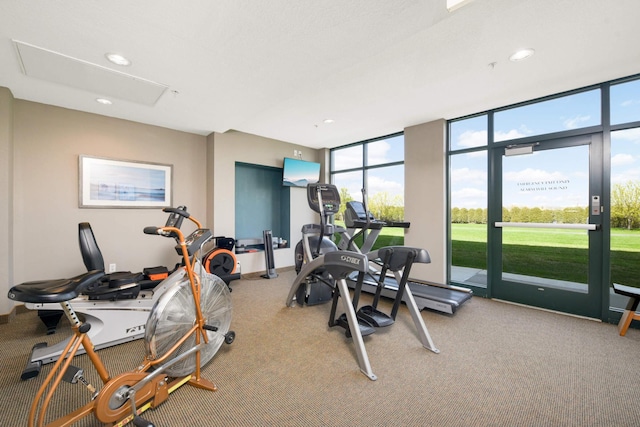 4100 Spring St Unit 310, Spring Park, MN 55384 - exercise room with light carpet, floor to ceiling windows, and recessed lighting
