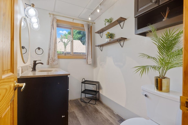 1412 11th St S, Virginia, MN 55792 - bathroom featuring vanity, toilet, and wood finished floors