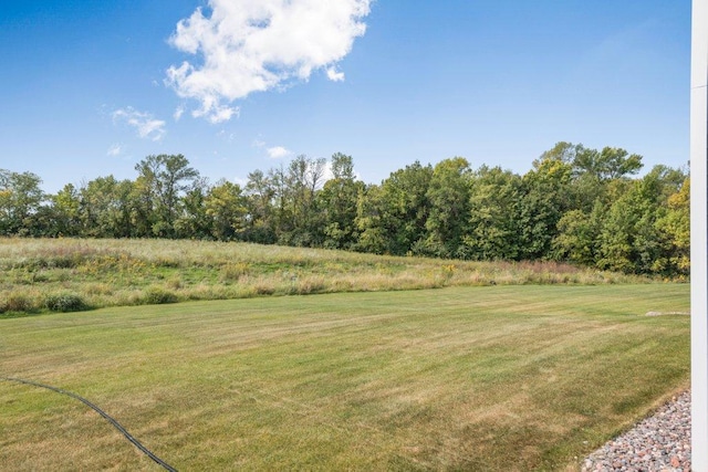 5201 Ramier Ave NE, Otsego, MN 55374 - view of grassy yard
