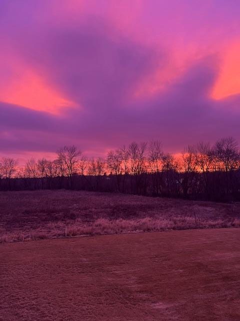 5201 Ramier Ave NE, Otsego, MN 55374 - view of yard at dusk