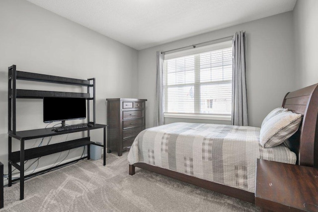 5201 Ramier Ave NE, Otsego, MN 55374 - view of carpeted bedroom