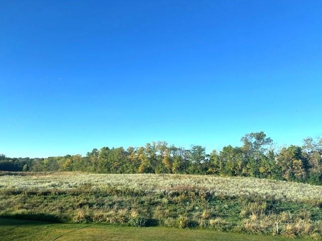 5201 Ramier Ave NE, Otsego, MN 55374 - view of undeveloped land
