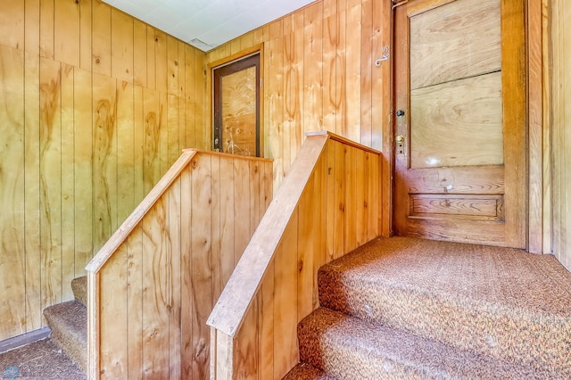 1002 10th St N, Fargo, ND 58102 - stairs with carpet floors and wooden walls