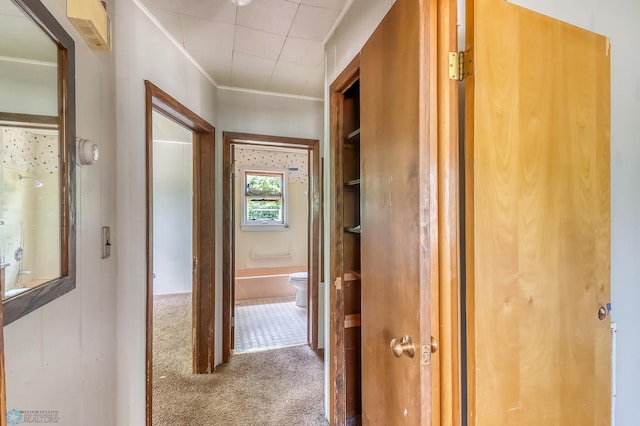 1002 10th St N, Fargo, ND 58102 - hall with carpet flooring and ornamental molding