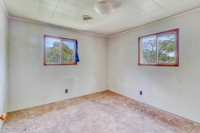 1002 10th St N, Fargo, ND 58102 - empty room featuring healthy amount of natural light and carpet floors