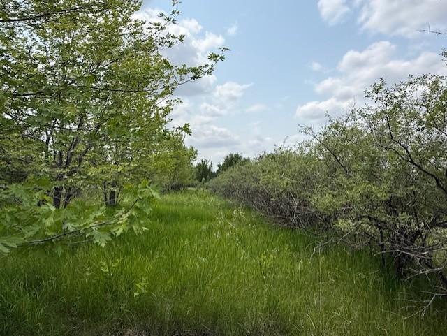 48255 County Road 28, Windom, MN 56101 - photo 13