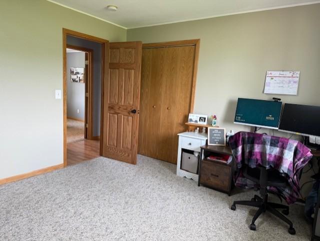 48255 County Road 28, Windom, MN 56101 - photo 35