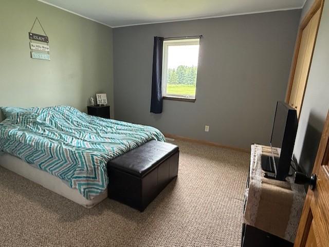 48255 County Road 28, Windom, MN 56101 - photo 38