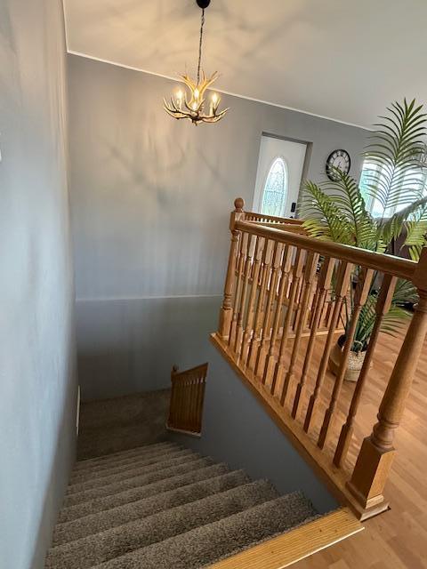 48255 County Road 28, Windom, MN 56101 - photo 27