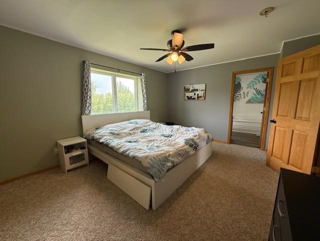 48255 County Road 28, Windom, MN 56101 - photo 30