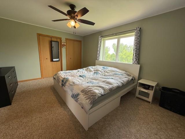 48255 County Road 28, Windom, MN 56101 - photo 31
