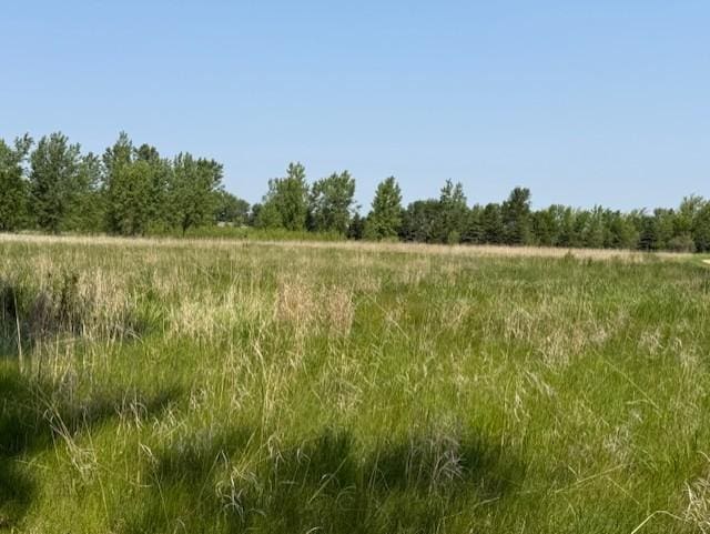 48255 County Road 28, Windom, MN 56101 - photo 14
