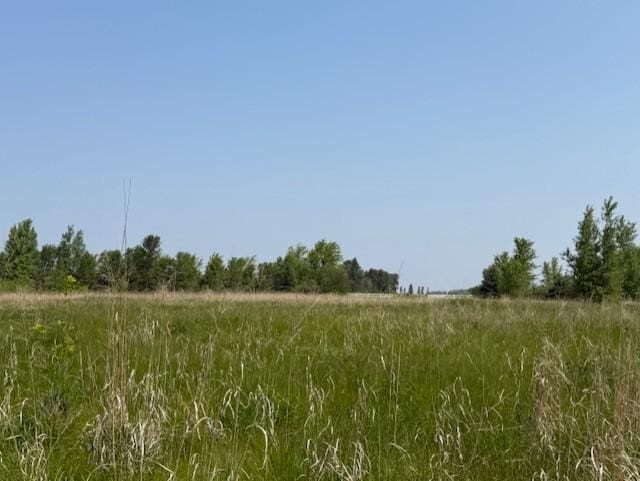 48255 County Road 28, Windom, MN 56101 - photo 16