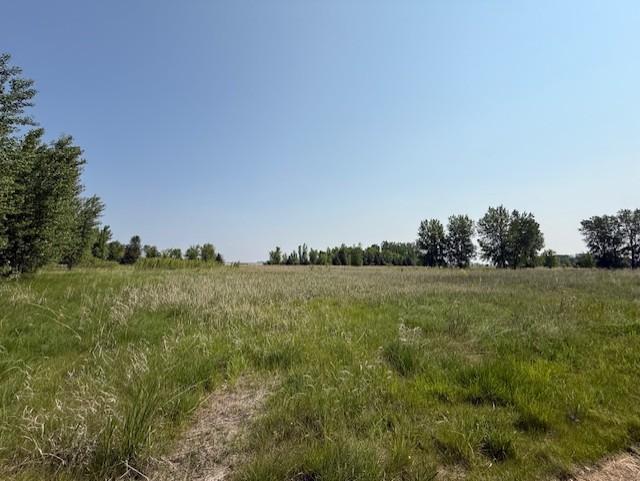 48255 County Road 28, Windom, MN 56101 - photo 18