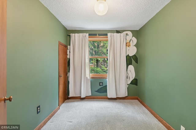 76 Western Ave N, Saint Paul, MN 55102 - empty room with a textured ceiling and carpet floors