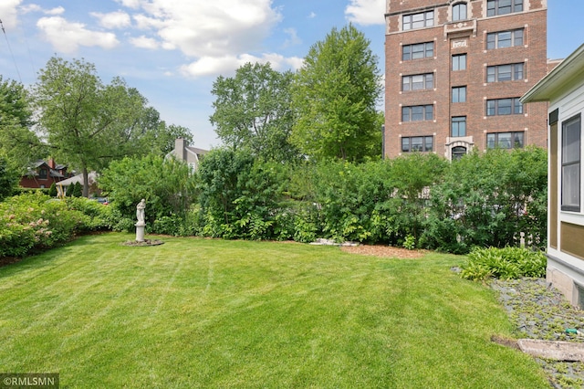 76 Western Ave N, Saint Paul, MN 55102 - view of green lawn