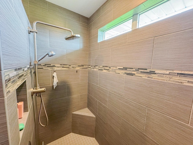 39847 447th St, Sauk Centre Twp, MN 56378 - full bathroom with a tile shower